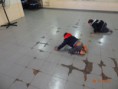 /album/yoga-na-educa%c3%a7%c3%a3o/dsc01297-jpg/